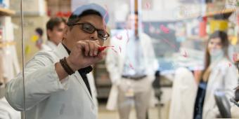 Lab