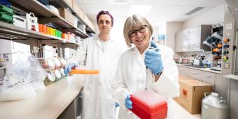 Lab